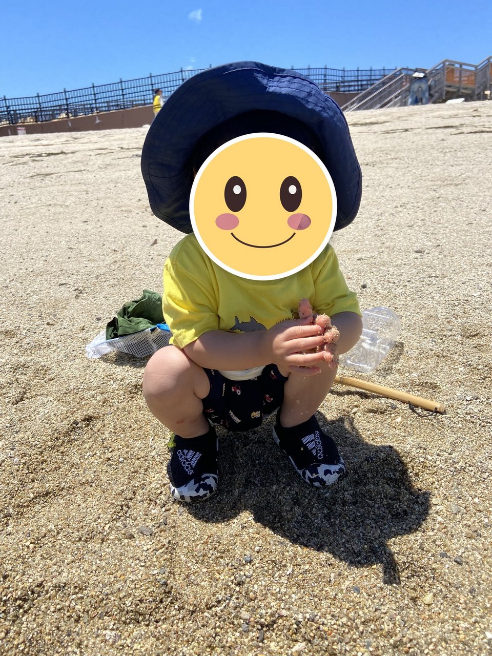 大阪湾の生き物を「種類分け」してみた — 第19回 大阪湾生き物一斉調査(せんなん里海公園)に親子で参加