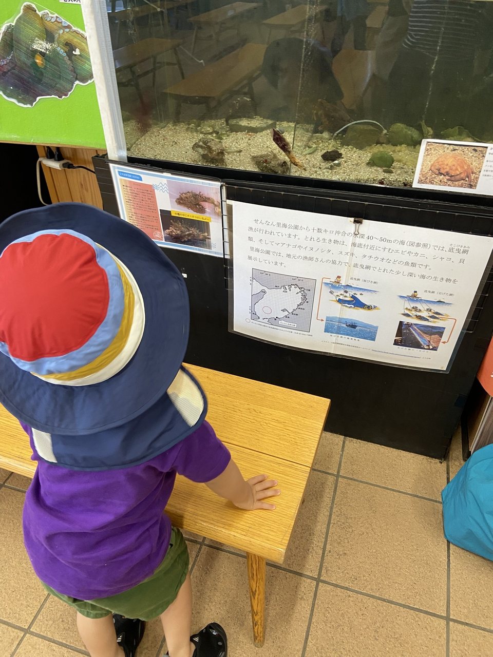 しおさい楽習館の水槽と解説パネル