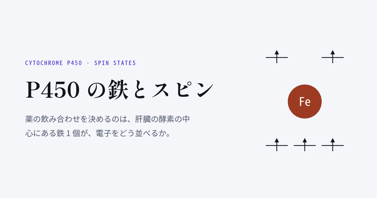 同じ分子で +24 と −58 ── 薬の飲み合わせを決める P450 の鉄を3つの手法で計算したら、答えの符号まで変わった
